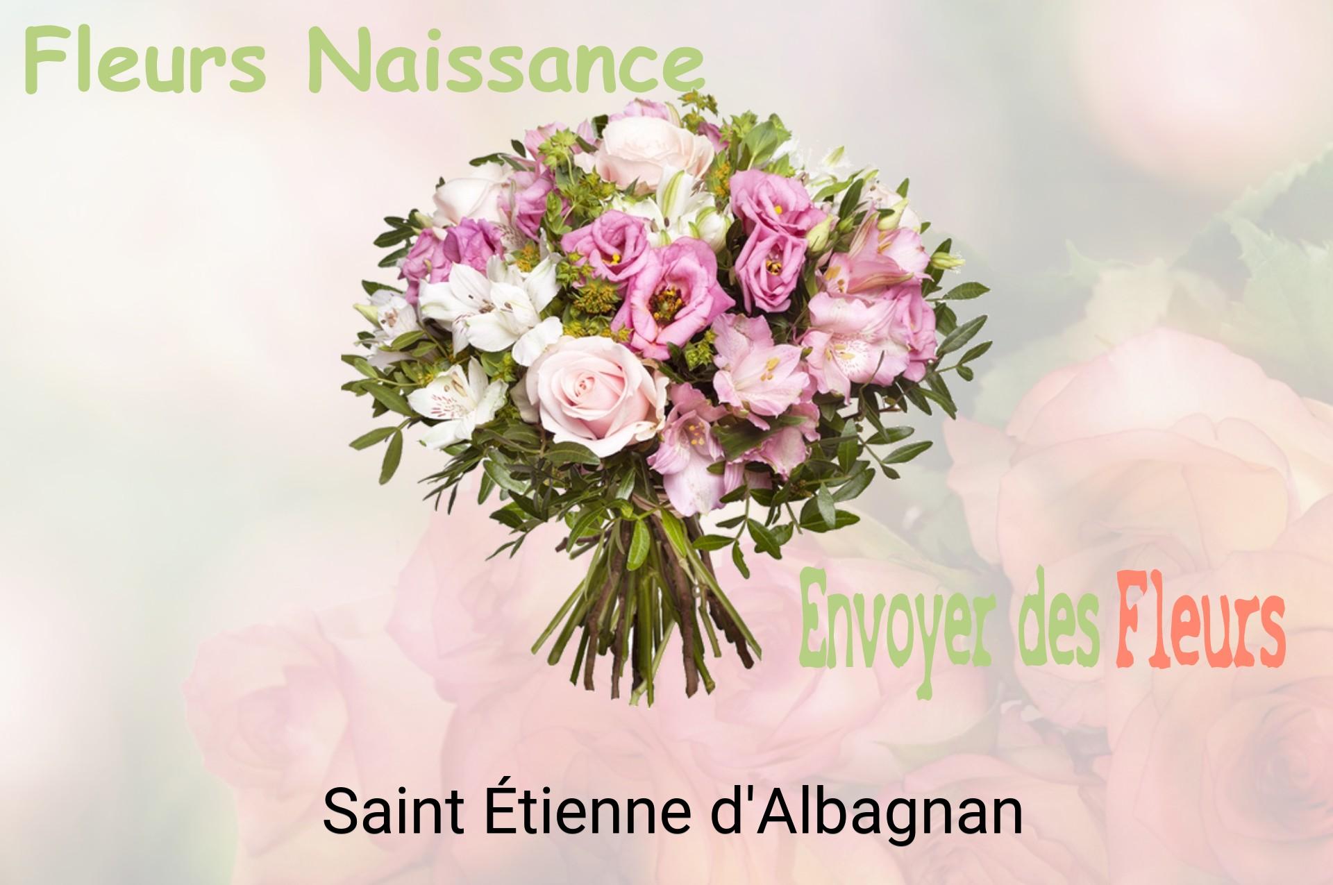 Bouquet de fleurs de naissance livré à Saint-Étienne-d'Albagnan